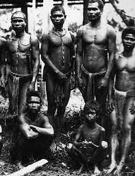 Résultat de recherche d'images pour "senoi malaysia"