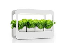 If you are wondering how to grow herbs inside, it doesn't take much. The 7 Best Herb Garden Kits Of 2021
