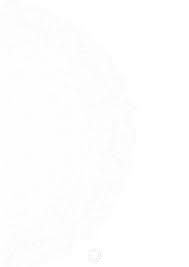 This private company limited by shares has been operating for 28 years 103 days. Http Mts Org My Mts2013 Files Mts2013 Spab Pdf