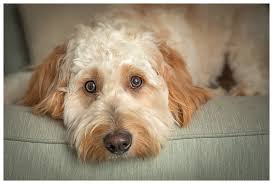 Contact — Jane Rowland Photography