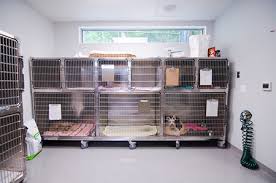 Our priority is to create a clean, relaxing and peaceful environment for our fluffy. Dog Boarding Lake Forest Animal Hospital Gaithersburg Maryland