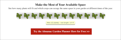 At this stage, the essential oils are at their highest, making them the most flavorful. Mint Planting Growing And Harvesting Mint Plants The Old Farmer S Almanac