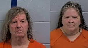 Heber Springs couple arrested after 28 dogs found in neglect case