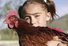 Bucking the conventional narrative