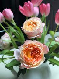 165 s reading rd, ephrata, pa 17522, usa address. Royers Flowers Ephrata