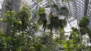 Grosses Tropenhaus Im Botanischen Garten Botanischer Garten Berlin Botanischer Garten Garten