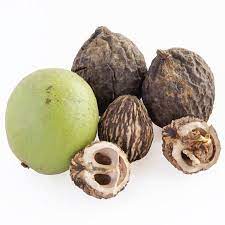 For this reason and many more, black walnuts, juglans nigra, seem to be a much maligned tree in landscaping. Black Walnut Trees For Sale Fastgrowingtrees Com