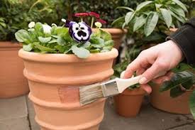 Schneckenabwehr 23 Mittel Im Uberblick Tests Tipps Tricks In 2020 Schneckenabwehr Schnecken Im Garten Schnecken