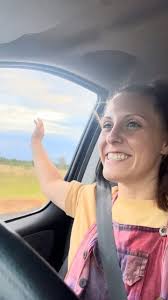 Henry Ross Lookout (2025)