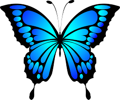 Free Free 63 Blue Butterfly Svg Free SVG PNG EPS DXF File