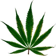 Smoke Weed Png Smoke Weed Png Transparent Free For Download On Webstockreview 2020 ✓ free for commercial use ✓ high quality images. smoke weed png smoke weed png
