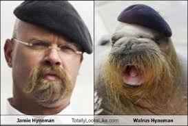 Saw a guy at the car wash that looked like Jamie from Mythbusters :  r/mildlyinteresting