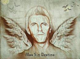 Alas Sin Destino