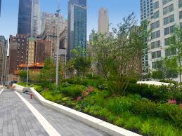 Check spelling or type a new query. Home Aspen Landscaping
