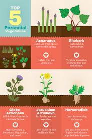 There are a few readily known perennial vegetable plants, such as rhubarb and asparagus, but there are a number of fascinating less recognized perennials that make a great addition to the garden landscape too. Planting Perennials In The Garden Fix Com
