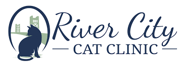 Depending on your type of cat, domestic cats who safely live indoors may live for 12 to 15 years. Cat Years Vs Human Years