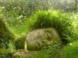 England is very green because it rains nearly every day. Cornwall England Plants Google Search Garten Garten Pflanzen Garten Ideen
