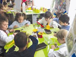Ordinul Ministrului EducaÈ›iei NaÈ›ionale Privind Aprobarea Curriculumului Pentru EducaÅ£ie Timpurie