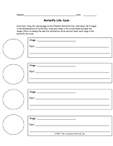 Butterfly Life Cycle Worksheet Butterfly Life Cycle Life Cycles 4th Grade Science