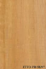 Image result for Berlinia grandiflora