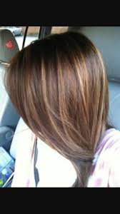 Hairstyle Mid Length Brown With Caramel Highlights Hair Styles Brown Hair With Caramel Highlights Hair
