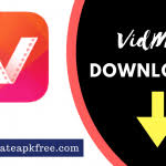 Vidmate apk para android es una aplicación de descarga de videos hd. Vidmate Apk Free Download For Android Vidmate Old Latest 2021