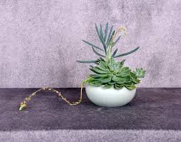 Artist: Mary Ege Additional Info: Monilaria Obconica and Graptosedom  Ghostly Photo: Mike Green