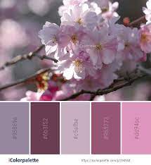 Color Palette Ideas From 1806 Blossom Images Icolorpalette Color Palette Cherry Blossom Painting Pink Blossom