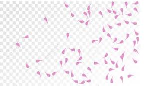 Check spelling or type a new query. Pink Sakura Petals Falling Down Isolated Vector Illustration Royalty Free Cliparts Vectors And Stock Illustration Image 111125259