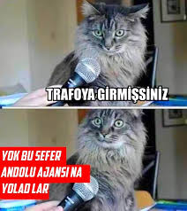 Ramazan Kahraman Adli Kullanicinin Ateist Mizah Panosundaki Pin Komik Hayvanlar Kedi Esprileri Kedi
