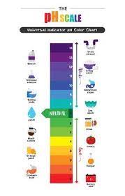 The Ph Scale Universal Indicator Ph Color Chart Diagram Acidic Alkaline Values Common Substances Vector Illus Environmental Problem Flat Design Icons Universal