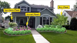 Drift rose care is an important topic since drift roses are becoming one of hottest rose bushes on the market. Front Yard Landscaping Lawneq Blog