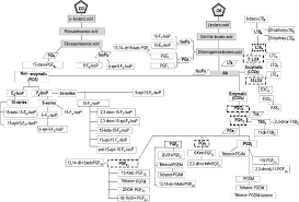 Figure 1 From Aronia Citrus Juice Polyphenol Rich Juice