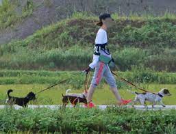 Apr 27, 2018 · 笑 では、ごゆっくりどうぞ^^ 坂上忍の家の場所は千葉県木更津市金田で間違いない！ 今やネット社会で有名人の自宅の場所もすぐに 特定されるような時代になってきましたよね～(^^; é€ƒã—ãŸè²¬ä»»ã§æ¿€ãƒ¤ã‚» å‚ä¸Šå¿ã®åŒå±…å¥³æ€§ æ„›çŠ¬ã‚'æ•£æ­©ã™ã‚‹å†™çœŸ5æžš Newsãƒã‚¹ãƒˆã‚»ãƒ–ãƒ³