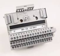 1440 XM ControlNet | Rockwell Automation | BE