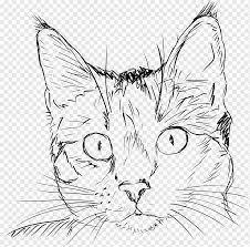 Menggambar Kucing Kucing Menggambar Kucing Sketsa Kucing Putih Mamalia Pensil Png Pngwing