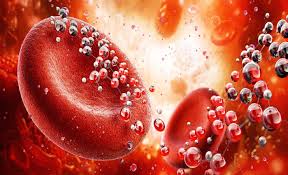 New human blood group identified, ends a 50-year science mystery - Earth.com