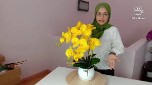 We did not find results for: Tutorial 2 Stalks Orchid Arrangement Gubahan Mudah 2 Tangkai Orkid Youtube