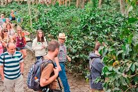 This tour is the most established in costa rica, receiving many visitors every day of the year for one of its five tour options: Britt Coffee Tour Trip Advisor Tours Traveling By Yourself