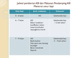 Makanan pejal boleh diperkenalkan kepada bayi anda sewaktu 4 atau 6 bulan pertama dalam hidupnya. Jadwal Makan Bayi 9 Bulan Informasi Dunia Kesehatan