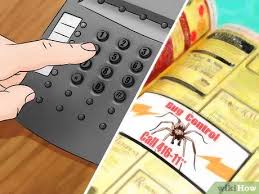 So, in my opinion you better see a spider than to be bitten by a. How To Get Rid Of Spiders In The House 11 Steps With Pictures
