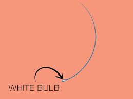 The hair follicle is an organ found throughout the body, except on the soles of the feet and palms of the hands. The Ultimate Solution For White Bulb On Hair That You Can Learn Today
