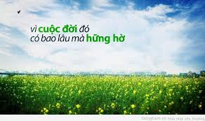 Kết quả hình ảnh cho hình ảnh đẹp cuộc sống