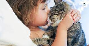Conseil Vétérinaire - Blog - Enfants, Chiens Et Chats, Quels Dangers ?