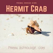 S ensitivity, caring, moodiness, femininity, home and creativity are the main cancer traits. Primal Astrology Spirit Of The Hermit Crab