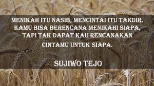 Dendangkanlah kata kata mutiara kehidupan sehari hari ini untuk menambah semangatmu dalam beraktivitas. Kata Kata Bijak Mutiara Kehidupan Sebagai Patokan Hidup Tobakonis