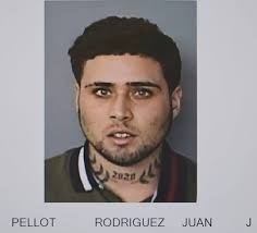 LE RADICAN CARGOS POR MALTRATO A PERSONA DE EDAD AVANZADA EN EL TRIBUNAL DE  MAYAGÜEZ Agentes del Negociado de la Policía de Puerto Rico, adscritos a la  División de Robos, Extorsiones, Delitos