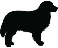 Puppy, chihuahua, toy poodle, mini maltese, pomeranian, tea cups. Collar Leash Size Charts From K9 Bytes Inc