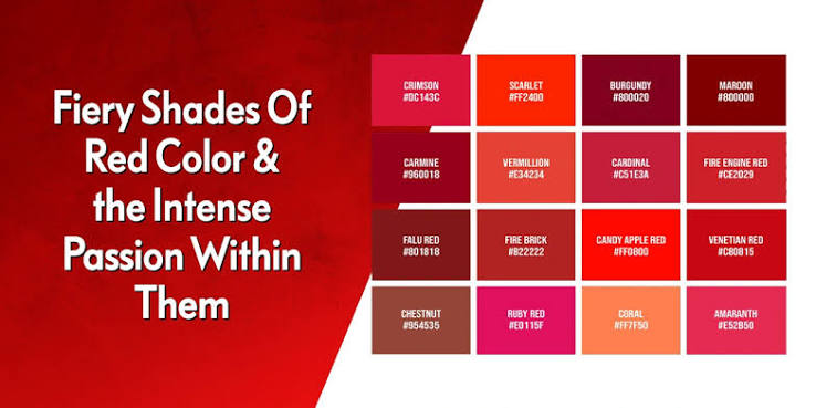 Fiery Shades of Red Color and the Intense Passion Within Them