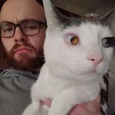 Tell me you're neurodivergent without telling me you're neurodivergent